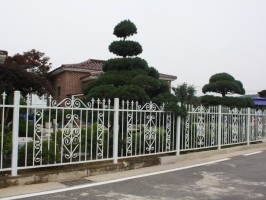 디자인창살형 WSD-14-02