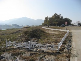 잔디 나비보강 VIEW