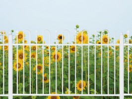 디자인창살B