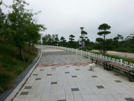 경상북도 상주 잔디A타입 0.45용