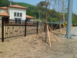 파주 광탄 테라기본형 +AD출입문 H:1.2용